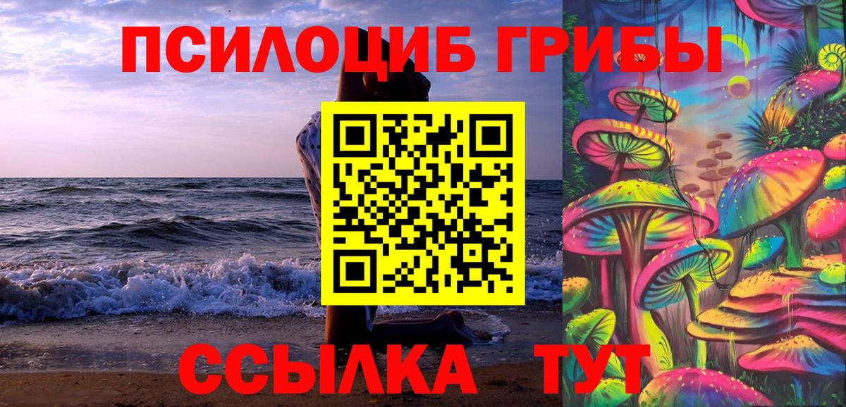 Псилоцибиновые грибы Psilocybe Кропоткин